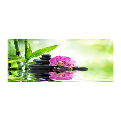 Obraz zdjęcie na ścianę akryl Orchidea