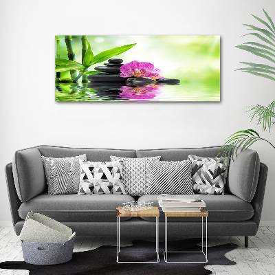 Obraz zdjęcie na ścianę akryl Orchidea