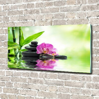 Obraz zdjęcie na ścianę akryl Orchidea
