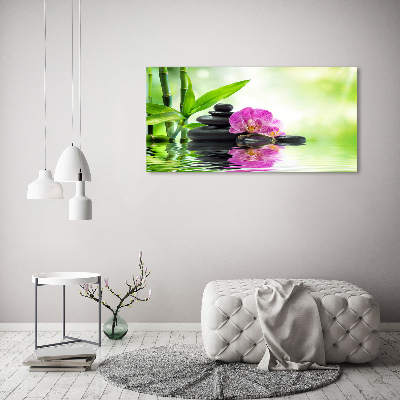 Obraz zdjęcie na ścianę akryl Orchidea