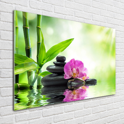 Obraz zdjęcie na ścianę akryl Orchidea