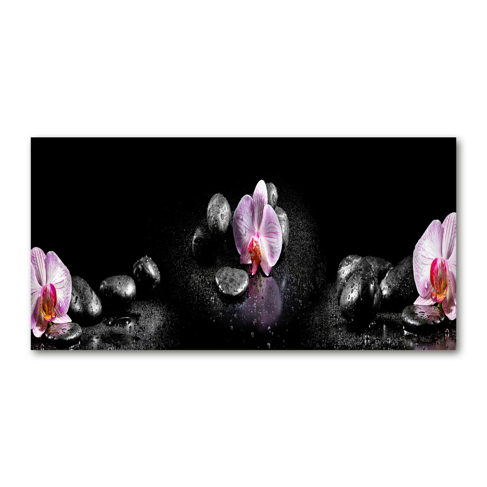 Obraz zdjęcie na ścianę akryl Orchidea