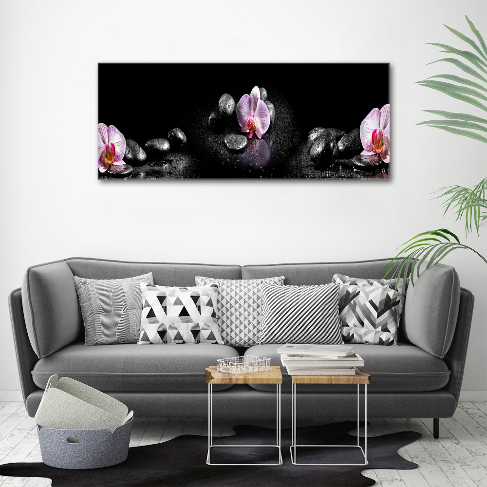 Obraz zdjęcie na ścianę akryl Orchidea