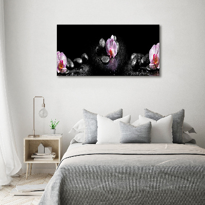 Obraz zdjęcie na ścianę akryl Orchidea