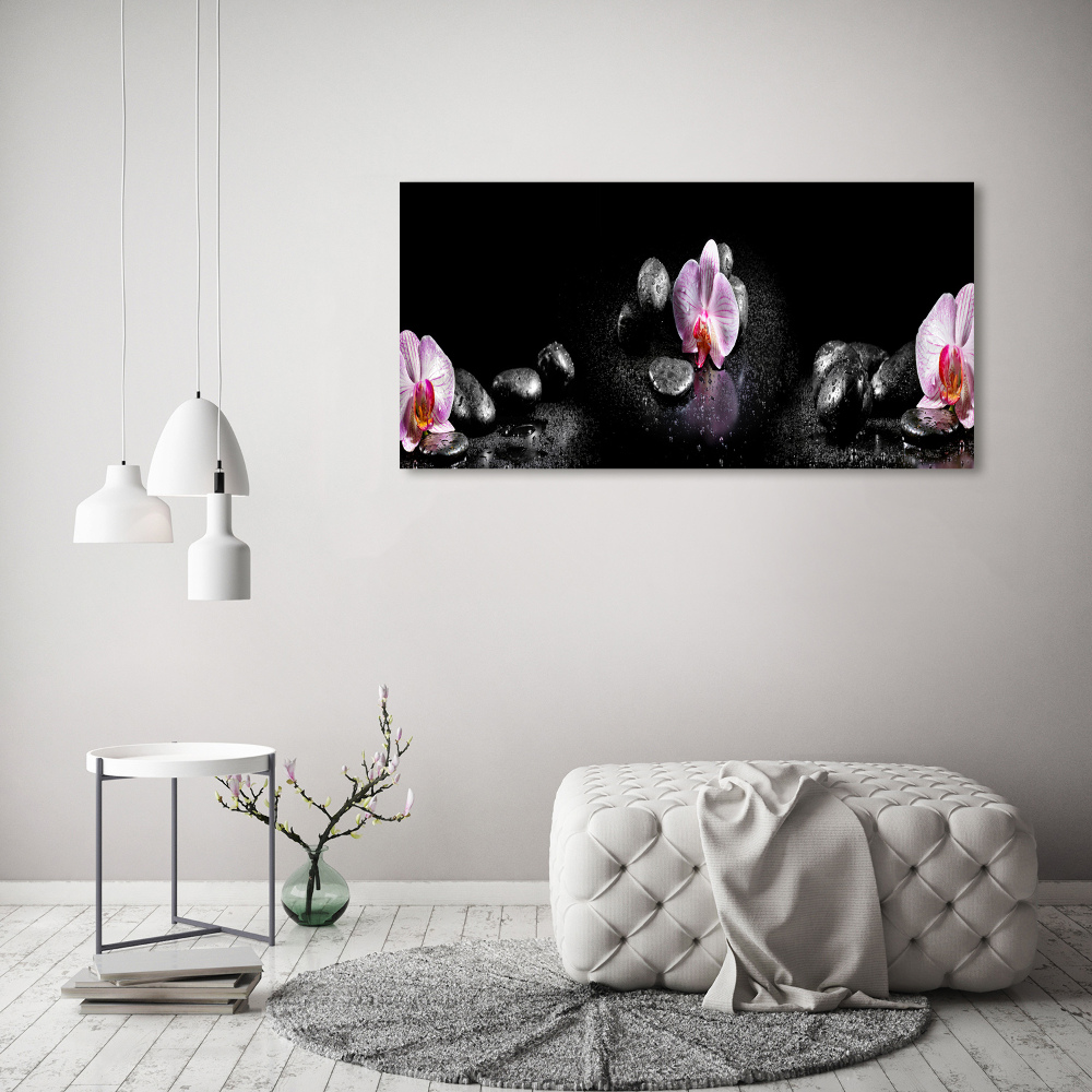 Obraz zdjęcie na ścianę akryl Orchidea