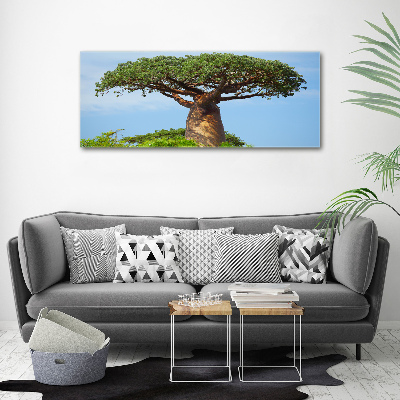 Fotoobraz na ścianę szkło akrylowe Baobab