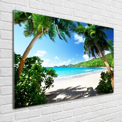 Foto obraz szkło akryl Seszele plaża