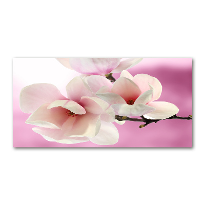 Obraz zdjęcie na ścianę akryl Magnolia