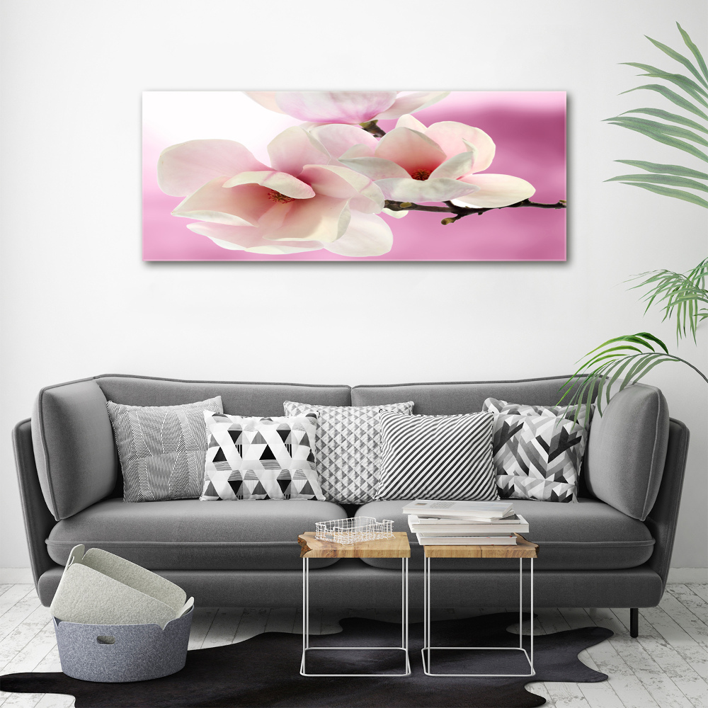 Obraz zdjęcie na ścianę akryl Magnolia