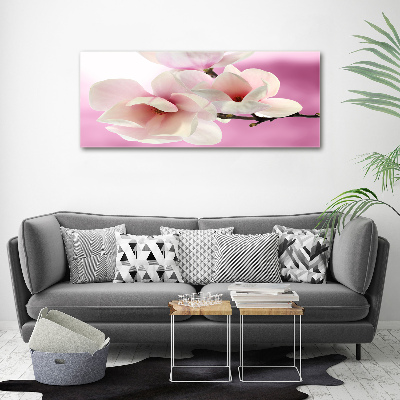 Obraz zdjęcie na ścianę akryl Magnolia
