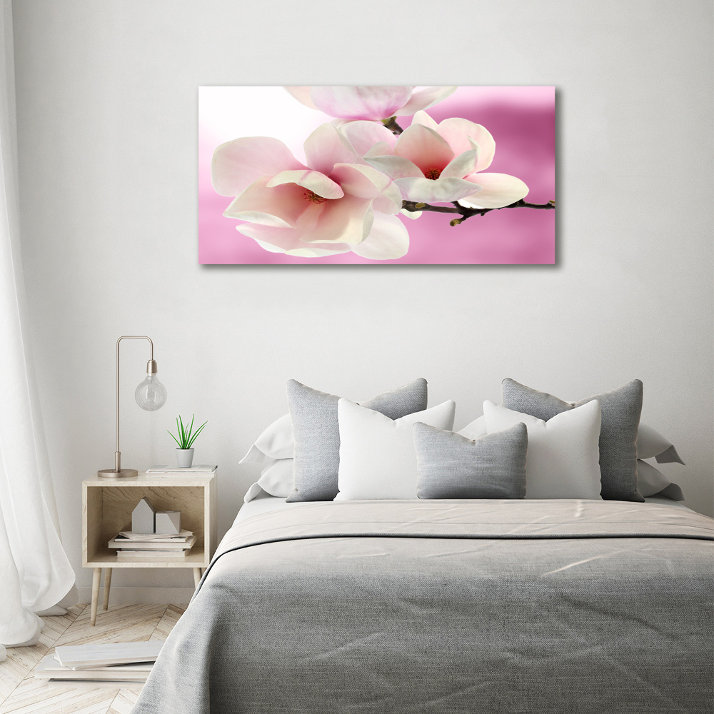 Obraz zdjęcie na ścianę akryl Magnolia
