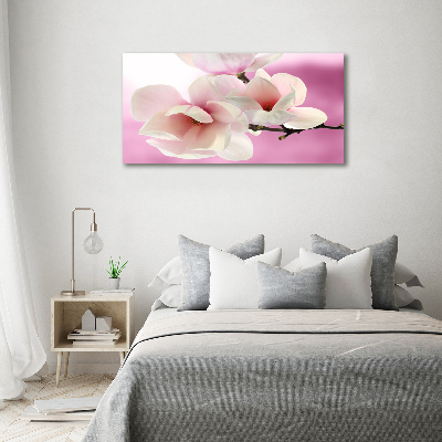 Obraz zdjęcie na ścianę akryl Magnolia