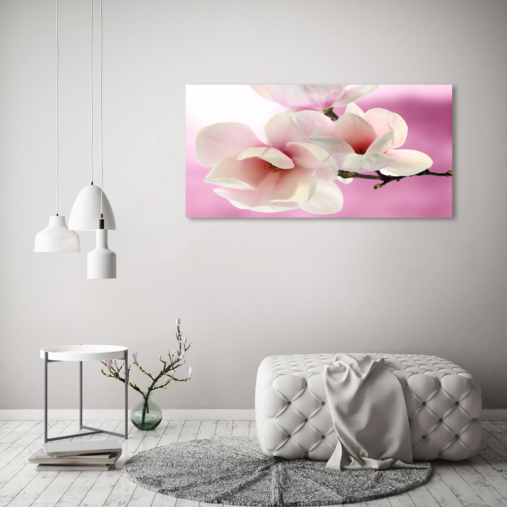Obraz zdjęcie na ścianę akryl Magnolia