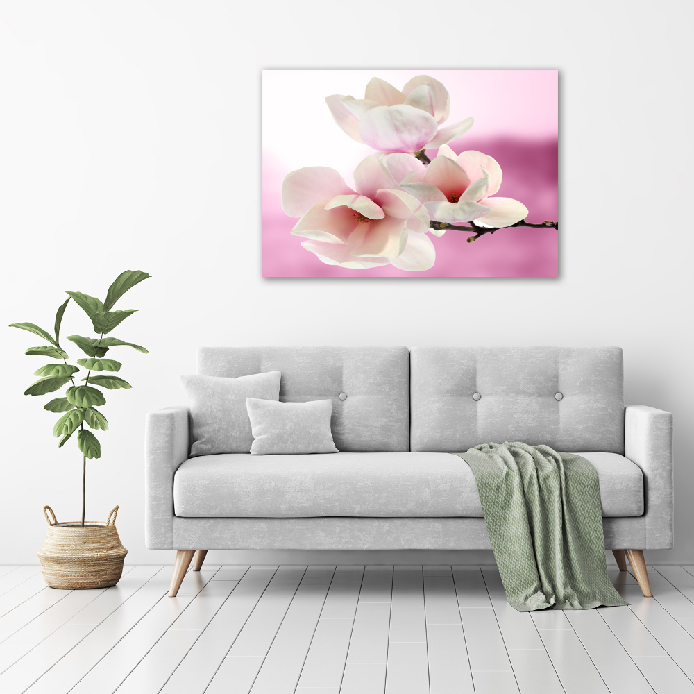 Obraz zdjęcie na ścianę akryl Magnolia