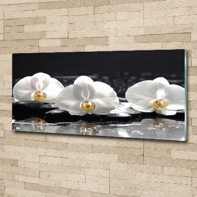 Obraz zdjęcie na ścianę akryl Orchidea