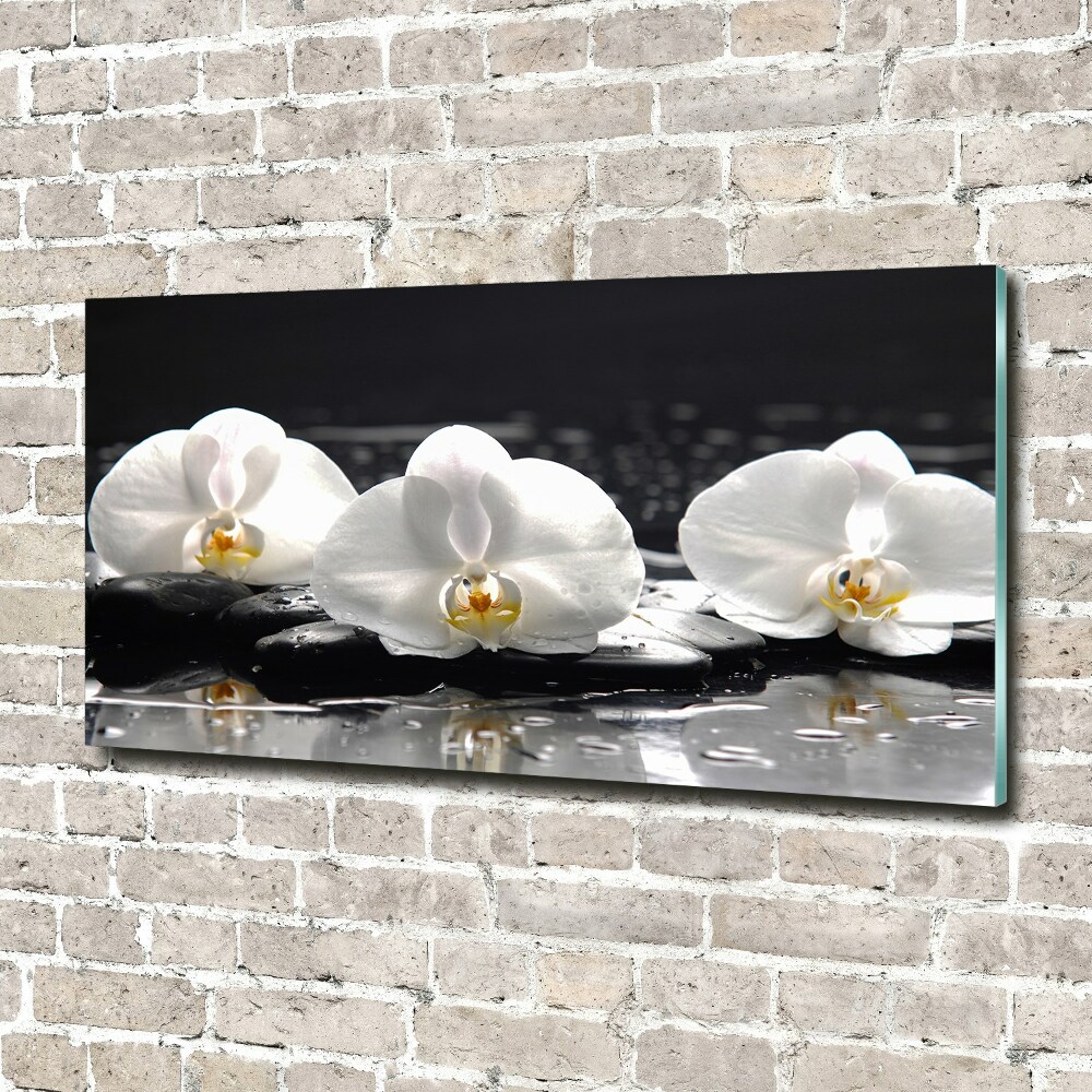Obraz zdjęcie na ścianę akryl Orchidea