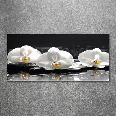 Obraz zdjęcie na ścianę akryl Orchidea