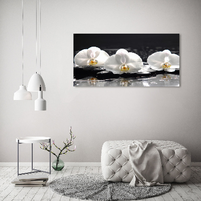 Obraz zdjęcie na ścianę akryl Orchidea