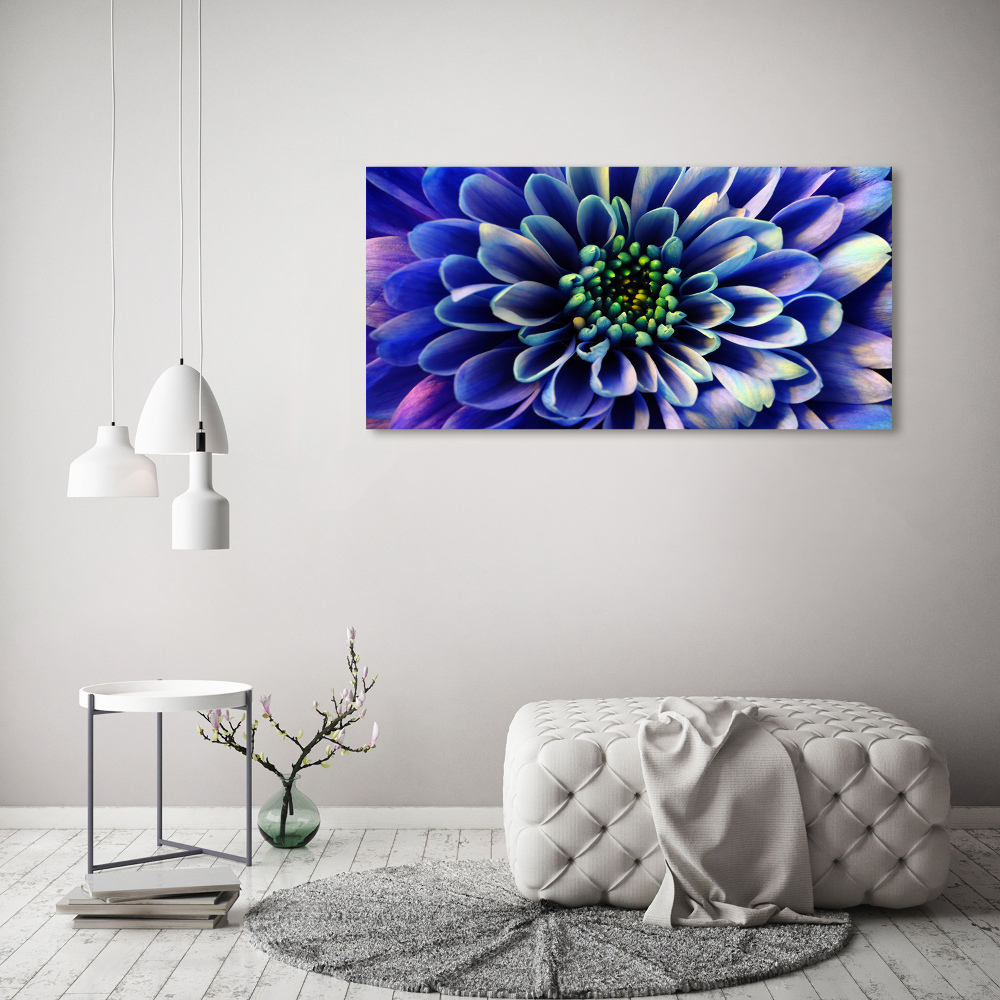 Obraz zdjęcie nowoczesny akrylowy Aster