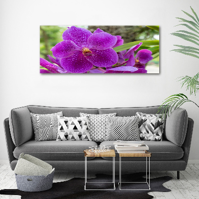 Obraz zdjęcie na ścianę akryl Orchidea