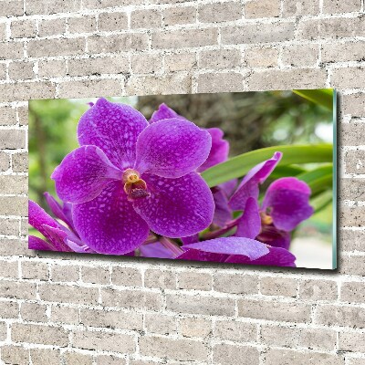 Obraz zdjęcie na ścianę akryl Orchidea