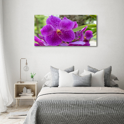 Obraz zdjęcie na ścianę akryl Orchidea