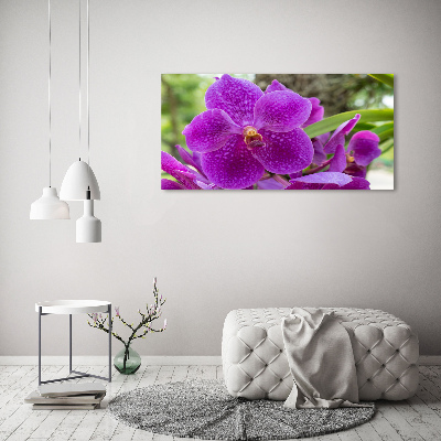 Obraz zdjęcie na ścianę akryl Orchidea
