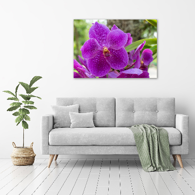 Obraz zdjęcie na ścianę akryl Orchidea