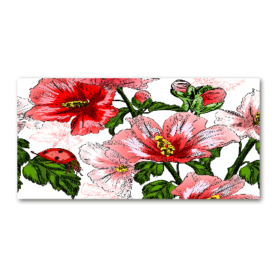 Obraz zdjęcie na ścianę akryl Hibiskus