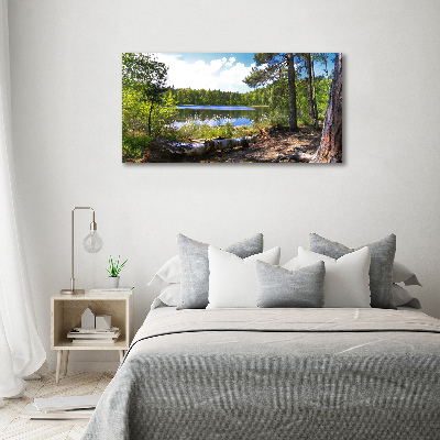 Foto obraz szkło akryl Leśna panorama