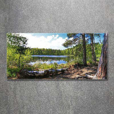 Foto obraz szkło akryl Leśna panorama