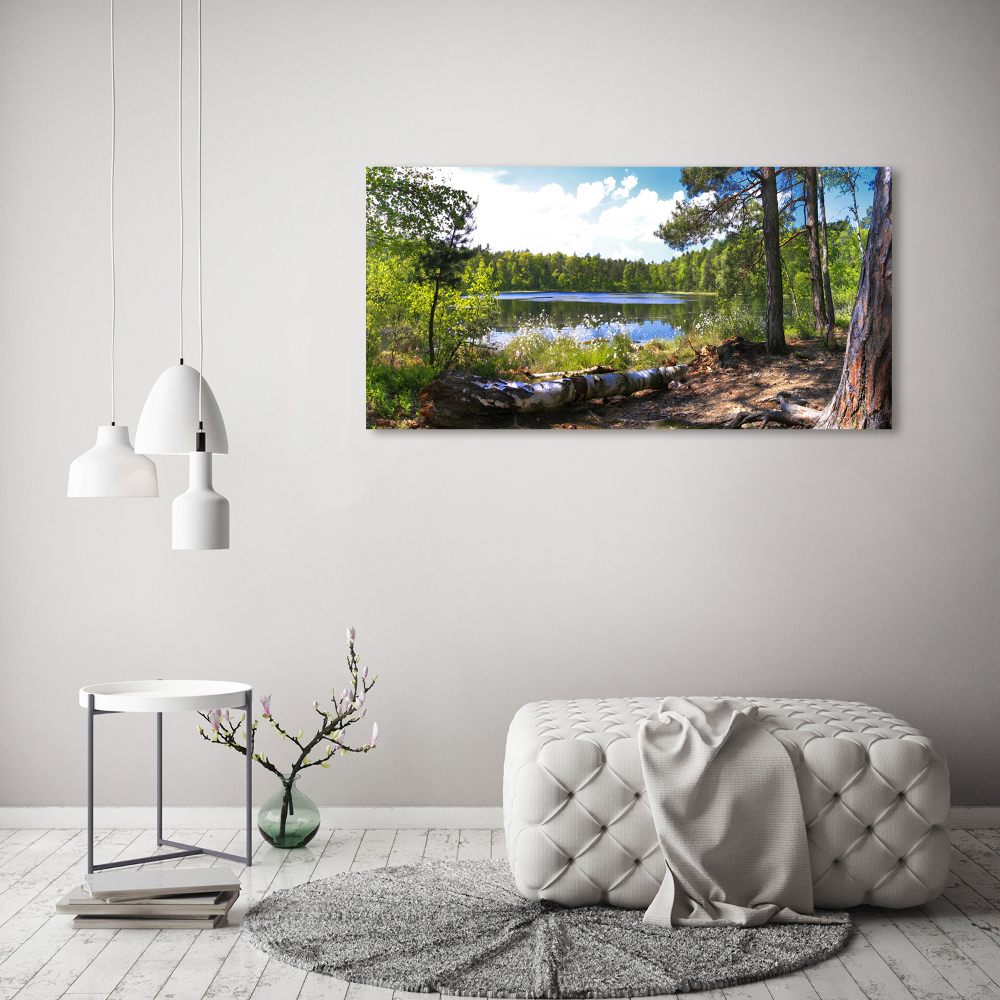 Foto obraz szkło akryl Leśna panorama