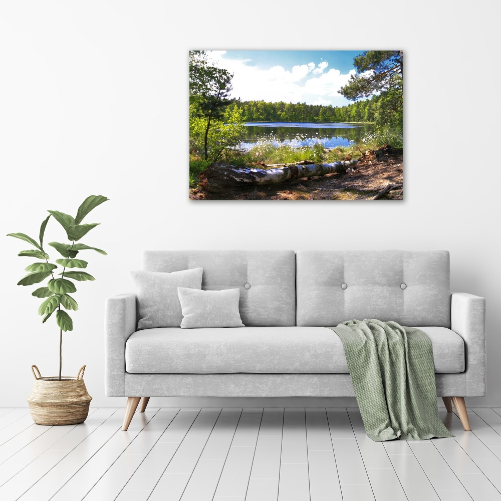 Foto obraz szkło akryl Leśna panorama