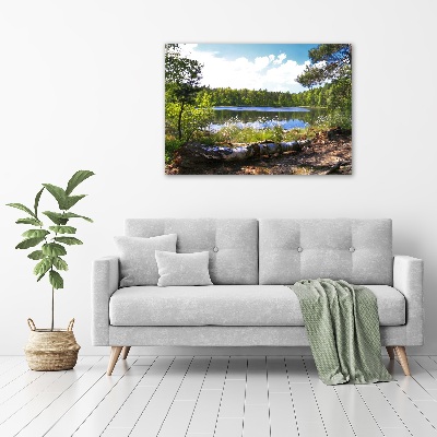 Foto obraz szkło akryl Leśna panorama