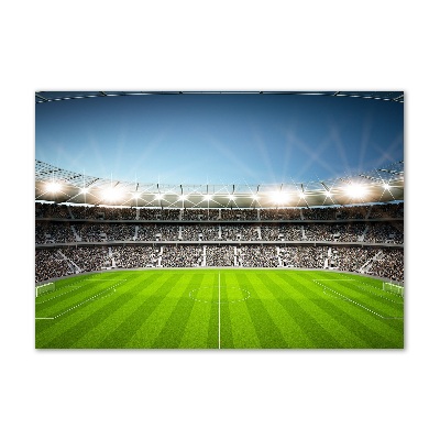 Foto obraz szkło akryl Stadion