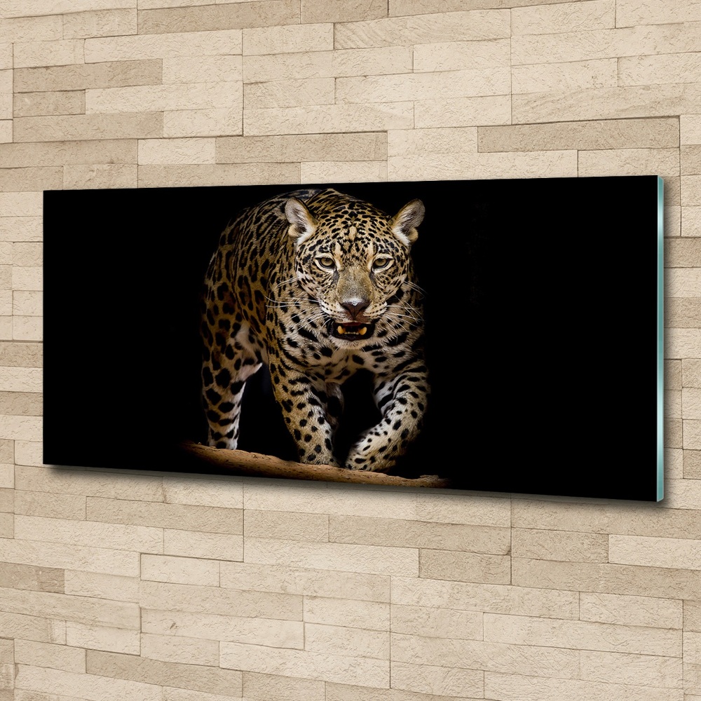 Obraz zdjęcie na scianę akrylowy Jaguar