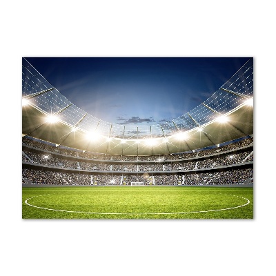 Foto obraz szkło akryl Stadion