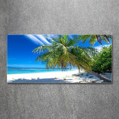 Foto obraz szkło akryl Tropikalna plaża