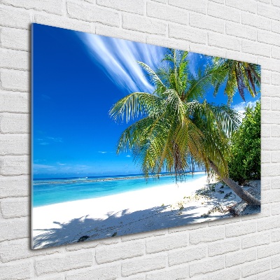 Foto obraz szkło akryl Tropikalna plaża