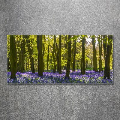 Foto obraz na ścianę akryl Las wiosną