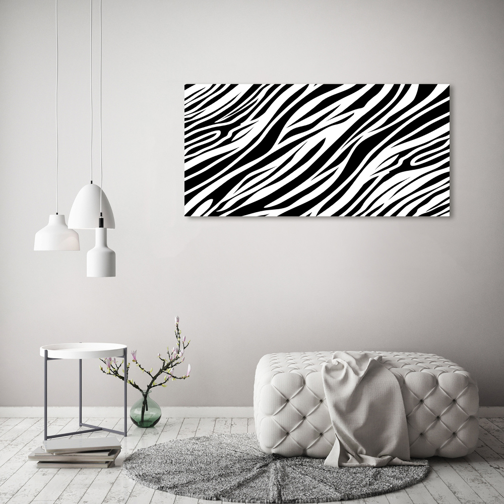 Obraz zdjęcie na ścianę akryl Zebra tło