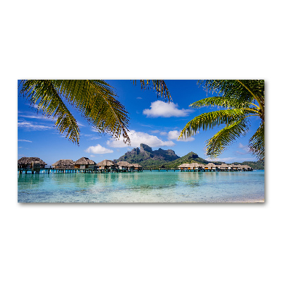 Foto obraz akryl Palmy na Bora Bora