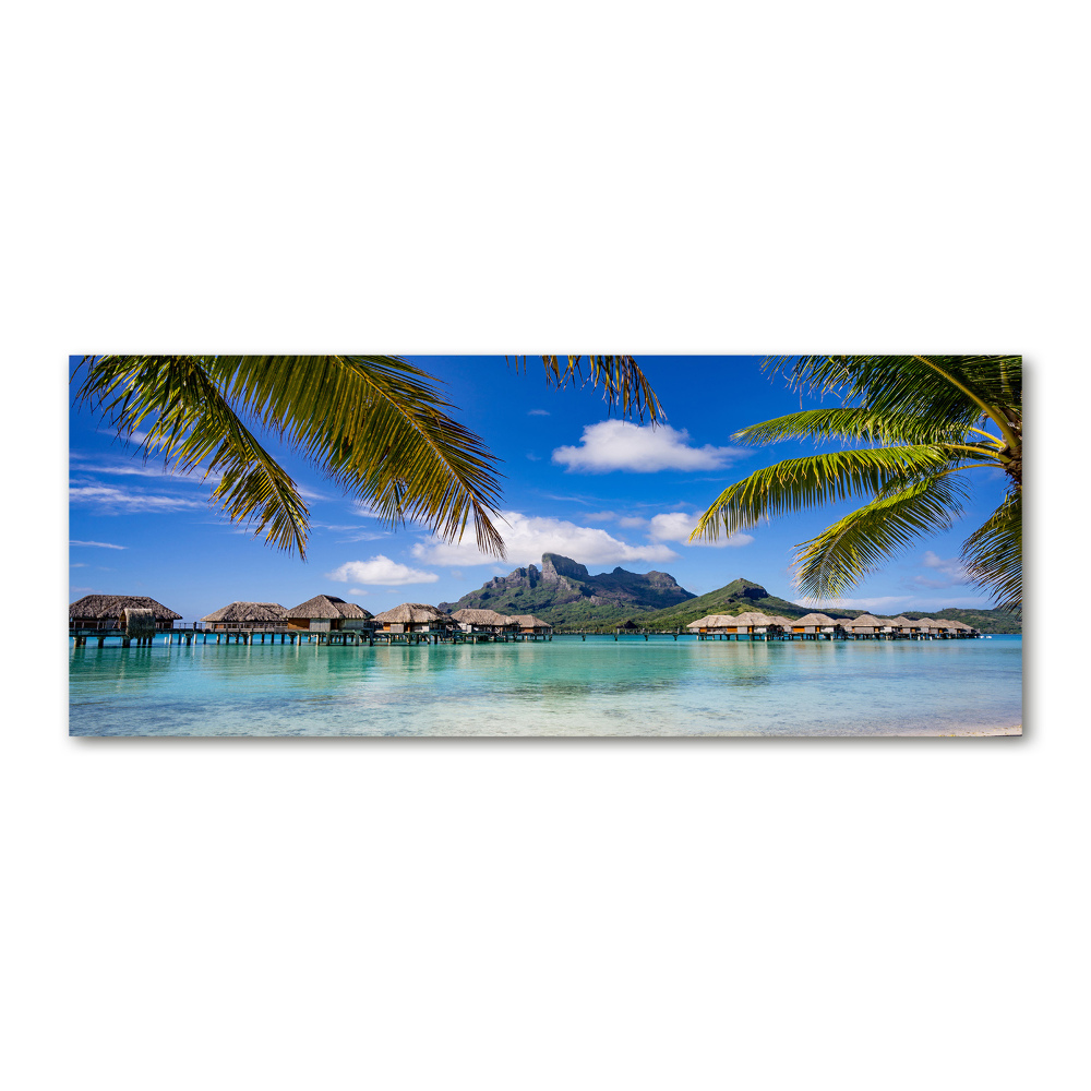 Foto obraz akryl Palmy na Bora Bora