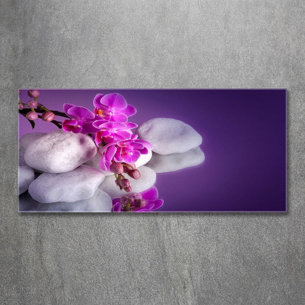 Obraz zdjęcie na ścianę akryl Orchidea