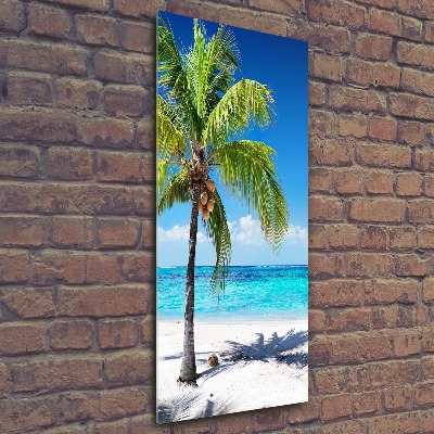 Obraz zdjęcie na ścianę akryl pionowy Tropikalna plaża