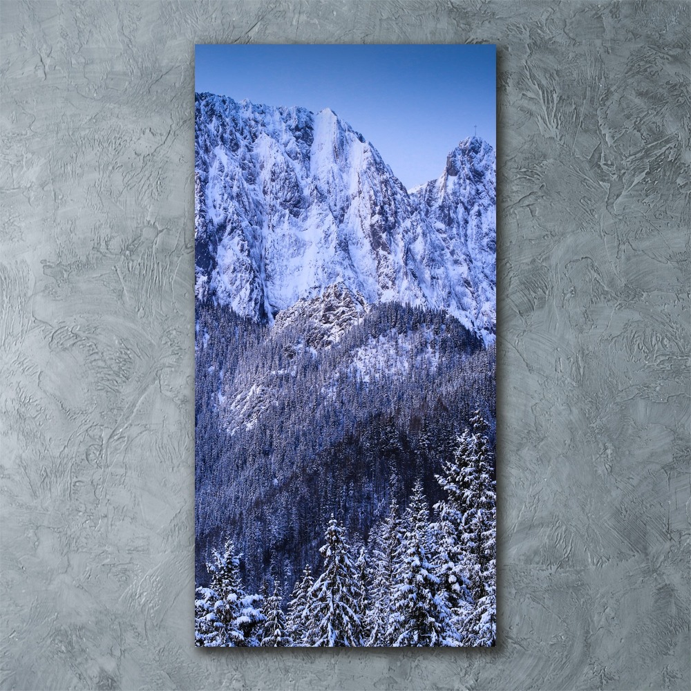 Obraz zdjęcie akryl pionowy Giewont Tatry