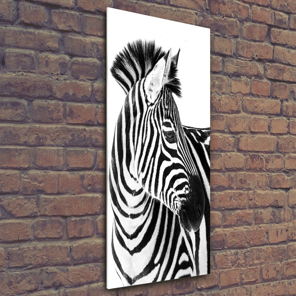 Foto obraz szkło akryl pionowy Zebra w śniegu