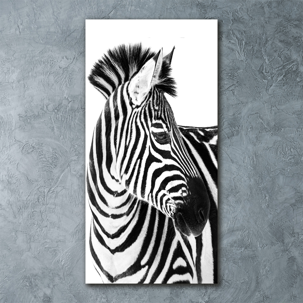 Foto obraz szkło akryl pionowy Zebra w śniegu