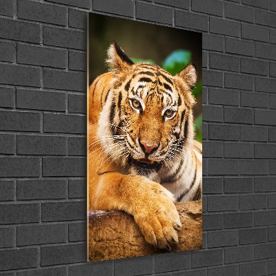 Foto obraz szkło akryl pionowy Tygrys bengalski