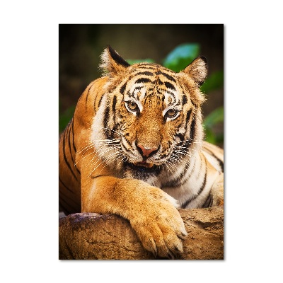 Foto obraz szkło akryl pionowy Tygrys bengalski